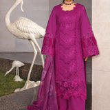 Rangrasiya | Premium Collection 24 | ZUBIYA