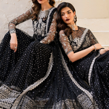 Iznik | Chinnon Chiffon | CC-50 Embroidered Net