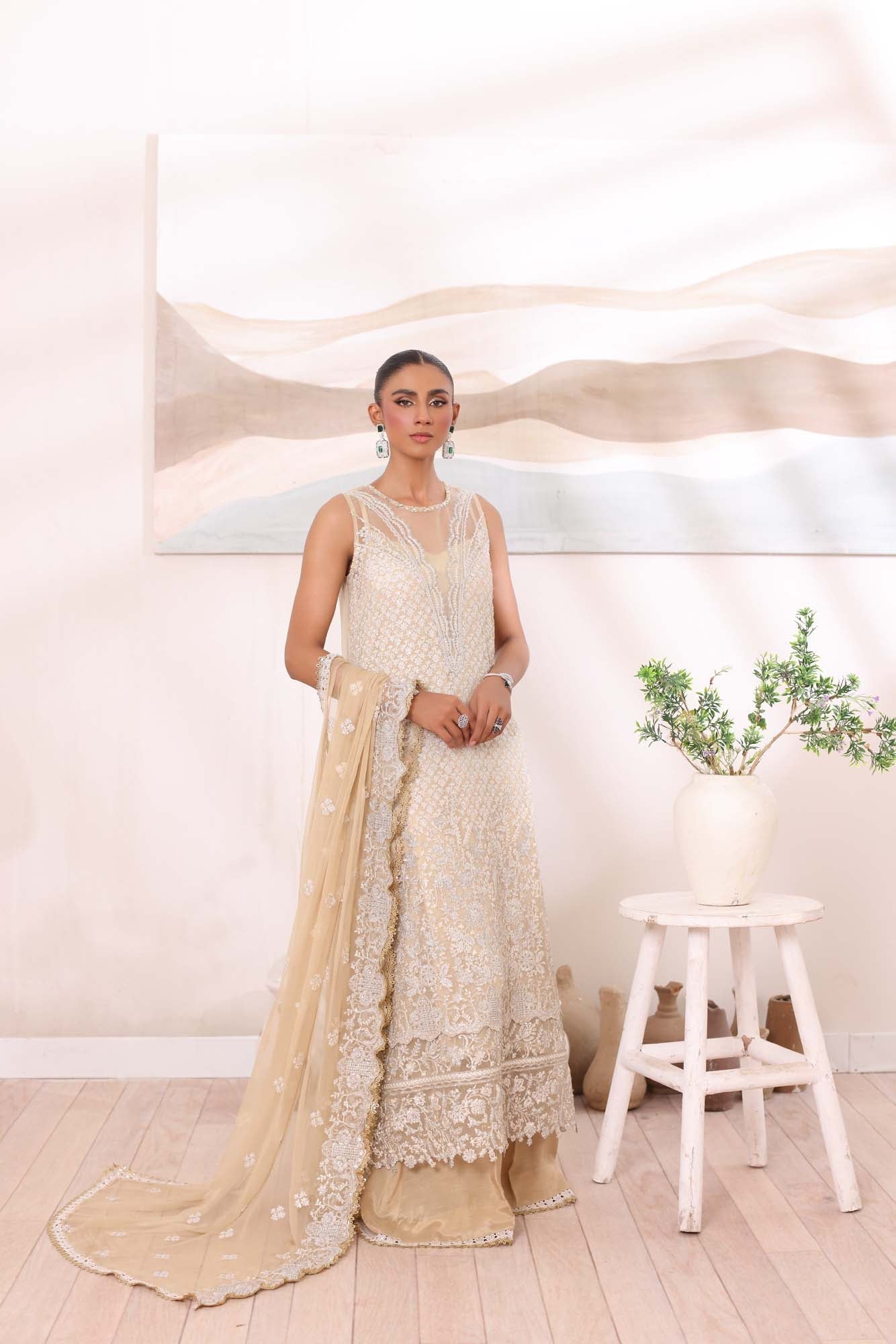 Noor by Saadia Asad | Noor Chiffon De Luxe | D1