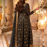 Shehnai by Asim Jofa Embroidered Net Unstitched 3Pc Suit AJSH-05