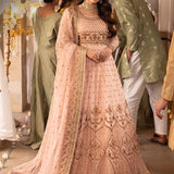 Shehnai by Asim Jofa Embroidered Chiffon Unstitched 3Pc Suit AJSH-15