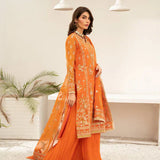 Daud Abbas | Shehnai Festive Formals 24 | Nuri