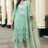 Mushq | Hemline Odyssey | BRISTOL BEAUTY