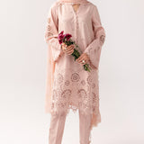Qalamkar | Basic Pret 25 | KT-05 Shareen