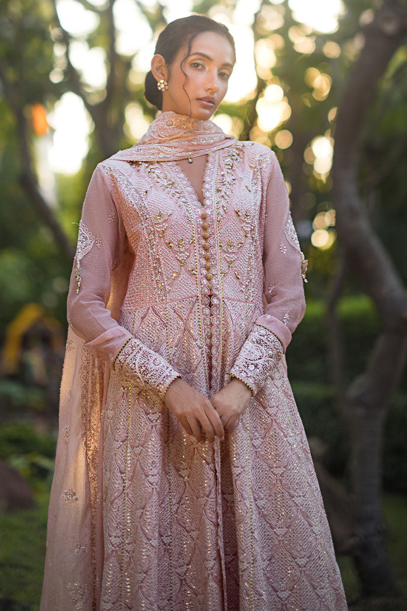 Mushq | Roohi Luxury Collection | AANYA