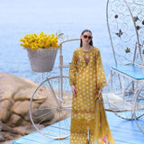 Noor by Saadia Asad | Luxe Printkari 24 | D6-B