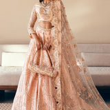 Waqas Shah | Amariage Luxury Formals | Coral Bliss