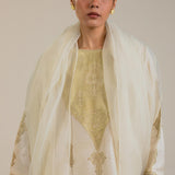 Zara Shahjahan | Festive Collection | ZC-1981