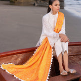 Zainab chottani | Luxury Chikankari 24 | CHUNARI - 3B