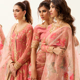 Mushq | Best of Mushq | Coral Almond