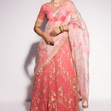 Mushq | Best of Mushq | Coral Almond