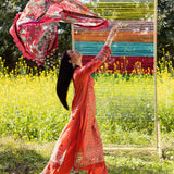 Ramsha | Riwayat Lawn Collection | Y-1205