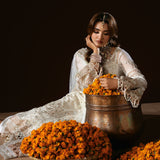 Ramsha | Dastak Luxury Chiffon Collection | Q-204