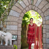 Noor by Saadia Asad | Luxury Chikankari Lawn24 | D12-A Red Chevron