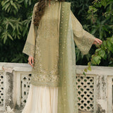 MNR | Ashiyana Festive Eid Collection 25 | Ayzal