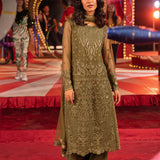 Asim Jofa | Festive Collection 25 | AJLLF-14