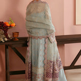 Ramsha | Festive Collection 24 | E-204