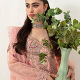 Ramsha | Minhal Organza Collection | M-1007