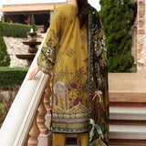 Ramsha | Riwayat Lawn Collection| Y-910