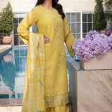 Rangrasiya | Florence Summer Edit 25 | Meharmah