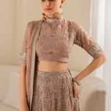 Iznik | Chinnon Chiffon | CC-43 Embroidered Net