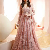 Ayzel Luminara Embroidered Net 3Pc Suit AWF-05 EARL