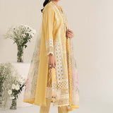 Maria B | Casual Pret 25 | DW-EF25-151