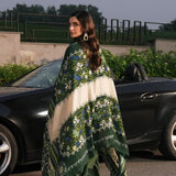 Elaf Premium | Winter Pashmina Shawl Collection | EPW-6A Endless Devotion