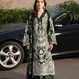 Elaf Premium | Winter Pashmina Shawl Collection | EPW-6A Endless Devotion