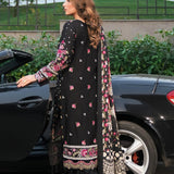 Elaf Premium | Winter Pashmina Shawl Collection | EPW-8B Boundless Dreams