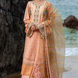 MNR | Festive Lawn 24 | RANI