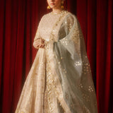 MNR | Zarlish Festive Formals | Shabnami