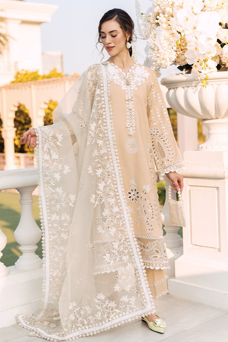 Mushq | La Toscana Casual Pret 24 |DIVINE DESERT
