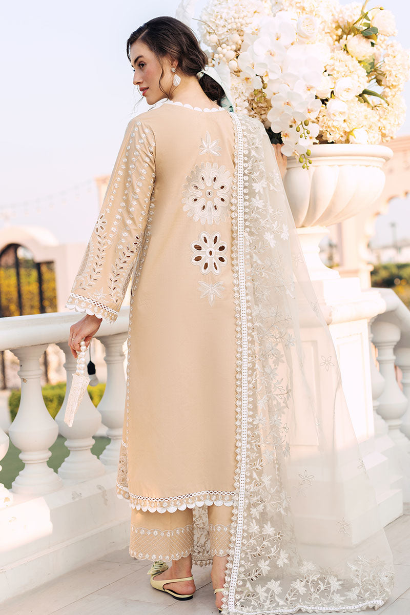 Mushq | La Toscana Casual Pret 24 |DIVINE DESERT