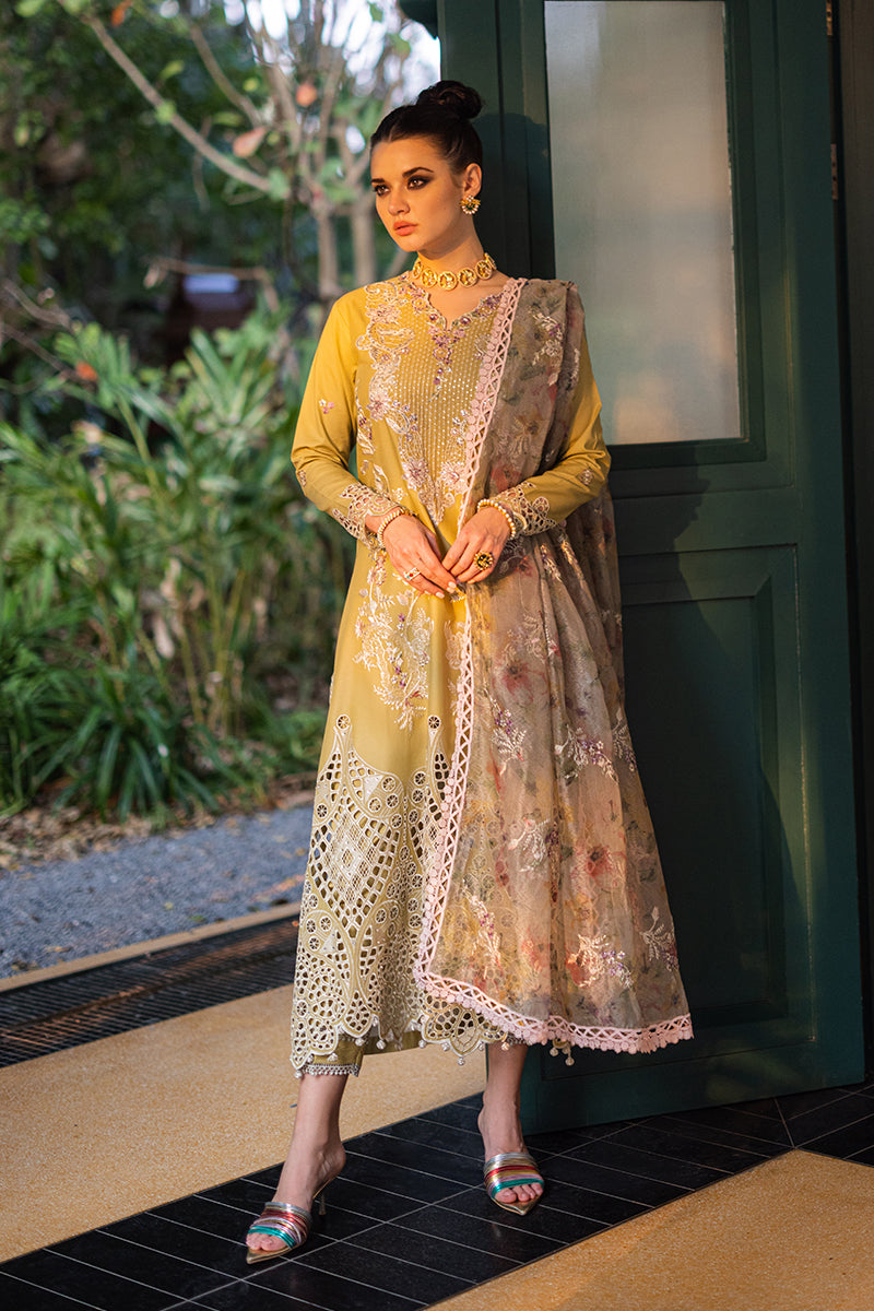 Mushq | Orient Express Luxury Lawn | DELICE
