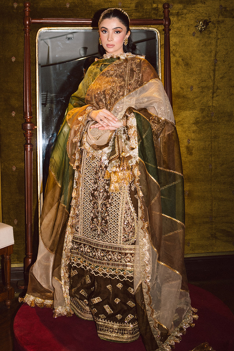 MNR | Zarlish Festive 25 | Zahra Sarfraz in Tabeer