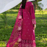 Ramsha | Riwayat Lawn Collection | Y-1301
